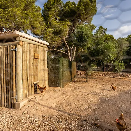 Menorca - Villas&bungalows Del 4*