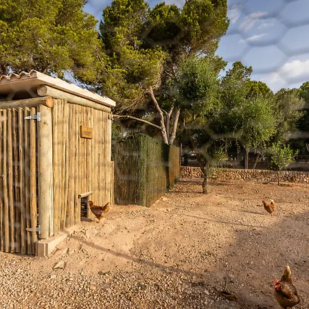 Menorca - & Del 4* Cala'N Bosch (Menorca)