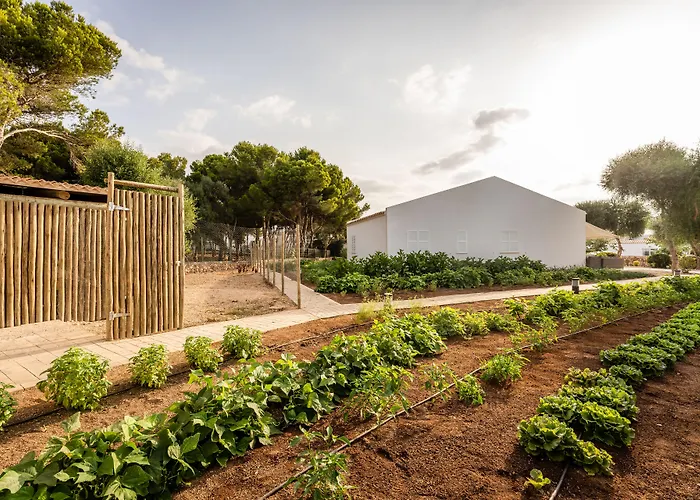 Menorca - & Del 4* Cala'N Bosch (Menorca)