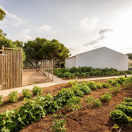 Resort Menorca - & Del 4*