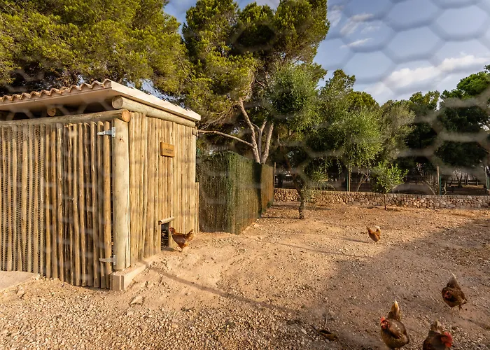 Menorca - & Del 4* Cala'N Bosch (Menorca)